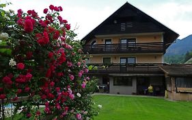 Apartmaji Alpski Cvet - Hisa Gorenc